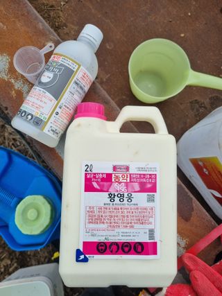 최기동님의 기타작물 · 영농일지 작성글 사진