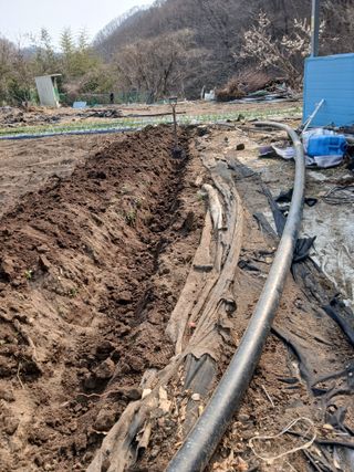 이종득님의 기타작물 · 영농일지 작성글 사진