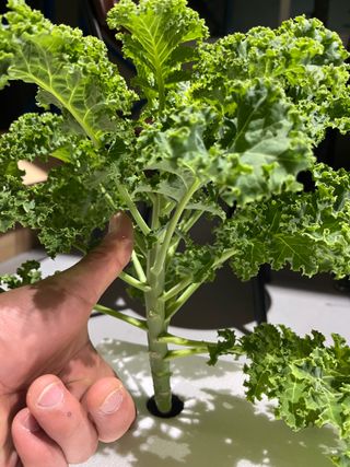 정종배님의 기타작물 · 영농일지 작성글 사진