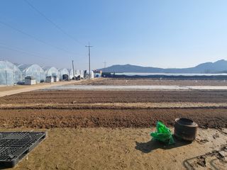 백석읍오산3리조남범님의 기타작물 · 영농일지 작성글 사진