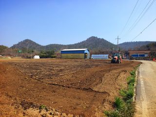 오이8898황산면님의 고추 · 영농일지 작성글 사진