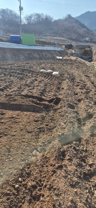 창공 귀농귀촌 초보님의 고추 · 영농일지 작성글 사진