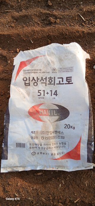 이형근님의 고추 · 영농일지 작성글 사진