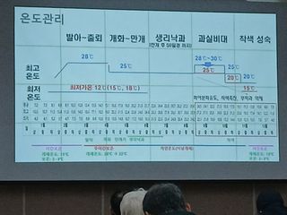 라이온3241님의 귤 · 영농일지 작성글 사진