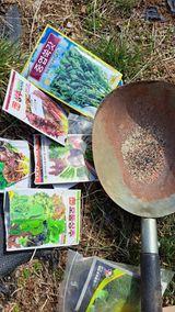 주윤발이님의 작성글 사진