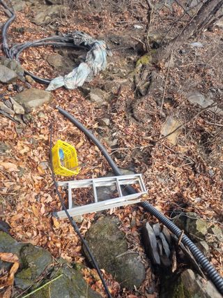 김용대님의 기타작물 · 영농일지 작성글 사진