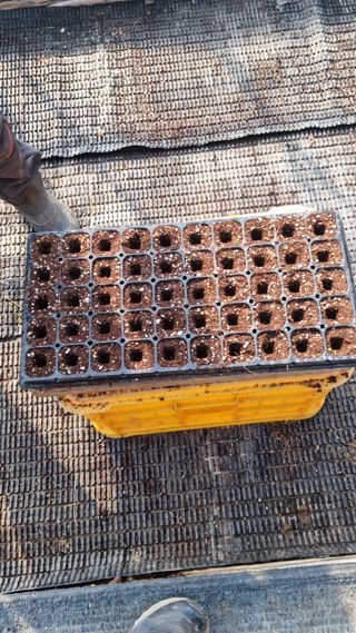 홍성원님의 고추 · 영농일지 작성글 사진