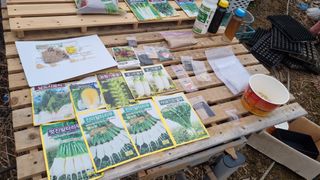 김지철님의 파 · 영농일지 작성글 사진