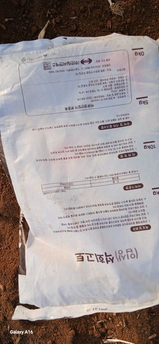 이형근님의 고추 · 영농일지 작성글 사진