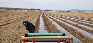 조성현님의 기타작물 · 영농일지 작성글 사진