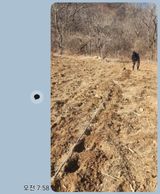 서성환님의 작성글 사진