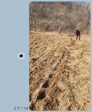 서성환님의 두릅 · 영농일지 작성글 사진