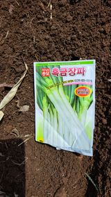 팜모닝 파·영농일지 게시글 이미지