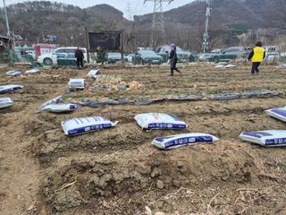 이경옥님의 기타작물 · 영농일지 작성글 사진