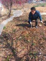 팜모닝 기타작물·영농일지 게시글 이미지