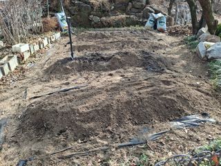 헤이쥬회원님의 기타작물 · 영농일지 작성글 사진