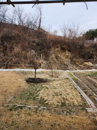 주말농장님의 기타작물 · 영농일지 작성글 사진