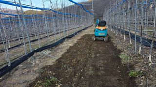 축복의땅 에덴동산님의 사과 · 영농일지 작성글 사진