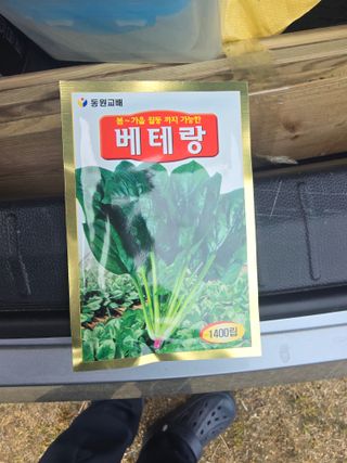 전인오님의 양파 · 영농일지 작성글 사진