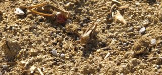 이상윤님의 복숭아 · 영농일지 작성글 사진