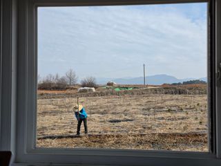 들깨19419님의 매실 · 영농일지 작성글 사진