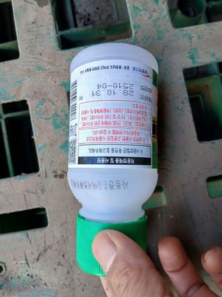 라이온3241님의 귤 · 영농일지 작성글 사진