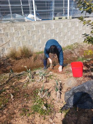 최연태님의 기타작물 · 영농일지 작성글 사진