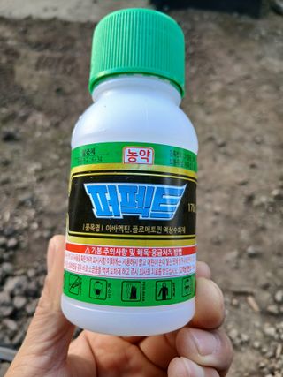 라이온3241님의 귤 · 영농일지 작성글 사진