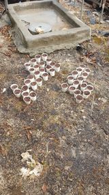 팜모닝 기타작물·영농일지 게시글 이미지