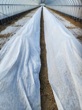 김저팔계님의 기타작물 · 영농일지 작성글 사진