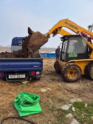 호랑이별님의 기타작물 · 영농일지 작성글 사진