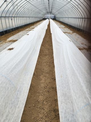 김저팔계님의 기타작물 · 영농일지 작성글 사진