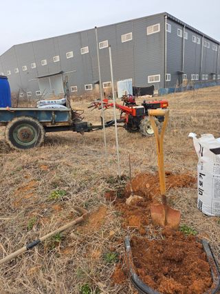 전주이상권님의 감 · 영농일지 작성글 사진