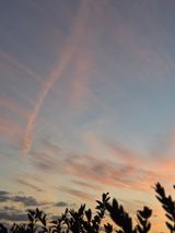 팜모닝 귤·영농일지 게시글 이미지