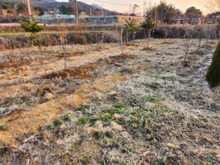 김진영님님의 고추 · 영농일지 작성글 사진