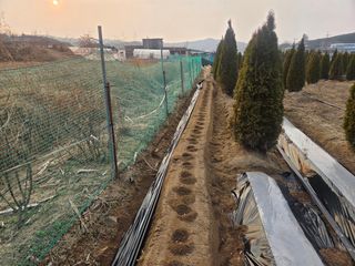 장두학님의 기타작물 · 영농일지 작성글 사진