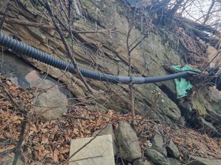 김용대님의 마늘 · 영농일지 작성글 사진