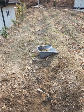 샤이니바다님의 기타작물 · 영농일지 작성글 사진