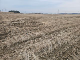 이미옥님의 벼 · 영농일지 작성글 사진