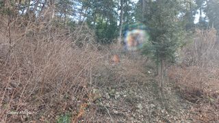 서인덕님의 기타작물 · 영농일지 작성글 사진