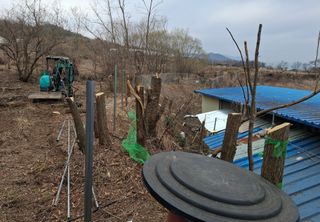 철남 김희곤님의 기타작물 · 영농일지 작성글 사진