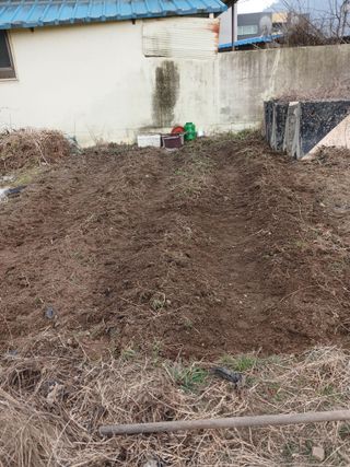 김윤철님의 감자 · 영농일지 작성글 사진