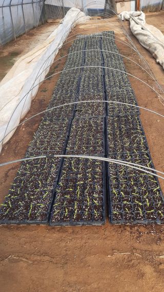 하루의행복님의 기타작물 · 영농일지 작성글 사진