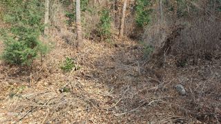 서인덕님의 버섯 · 영농일지 작성글 사진