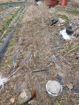 팜모닝 감자·영농일지 게시글 이미지