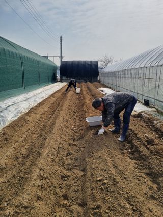 노천호 님의 기타작물 · 영농일지 작성글 사진