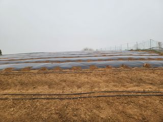 이용찬 열매마농원님의 기타작물 · 영농일지 작성글 사진