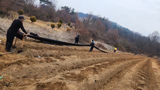 인호님의 두릅 · 영농일지 작성글 사진