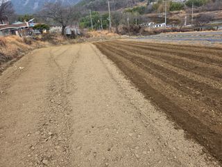 정영기대산축산농부♡님의 고추 · 영농일지 작성글 사진