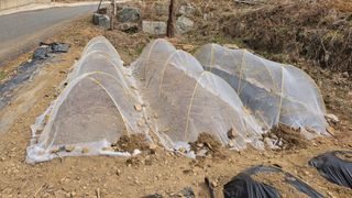 박춘배님의 기타작물 · 영농일지 작성글 사진